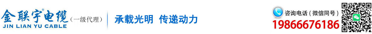 金聯(lián)宇電纜